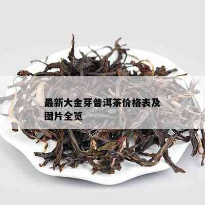 最新大金芽普洱茶价格表及图片全览