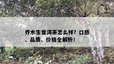 乔木生普洱茶怎么样？口感、品质、价格全解析！