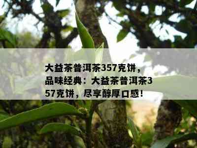 大益茶普洱茶357克饼，品味经典：大益茶普洱茶357克饼，尽享醇厚口感！