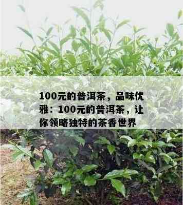 100元的普洱茶，品味优雅：100元的普洱茶，让你领略特别的茶香世界