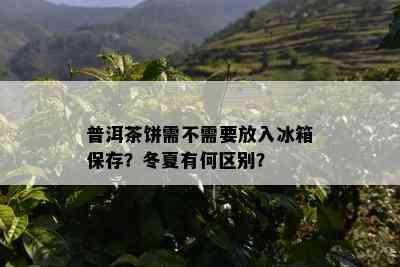 普洱茶饼需不需要放入冰箱保存？冬夏有何区别？