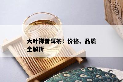 大叶禅普洱茶：价格、品质全解析