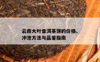 云南大叶普洱茶饼的价格、冲泡方法与品鉴指南