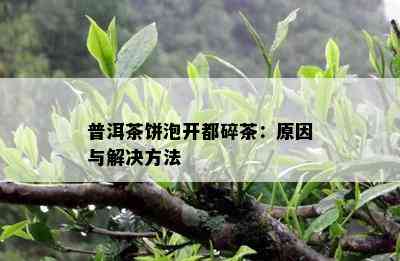 普洱茶饼泡开都碎茶：原因与解决方法