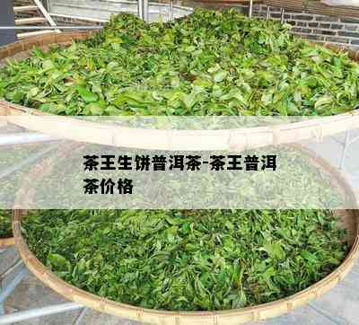 茶王生饼普洱茶-茶王普洱茶价格