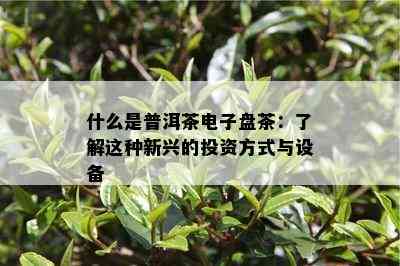 什么是普洱茶盘茶：熟悉这类新兴的投资方法与设备