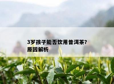 3岁孩子能否饮用普洱茶？起因解析