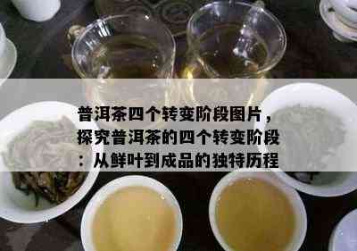 普洱茶四个转变阶段图片，探究普洱茶的四个转变阶段：从鲜叶到成品的特别历程