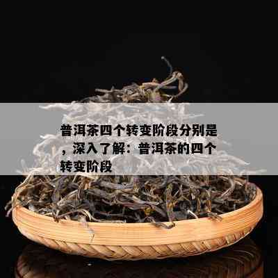 普洱茶四个转变阶段分别是，深入熟悉：普洱茶的四个转变阶段