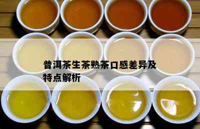 普洱茶生茶熟茶口感差异及特点解析