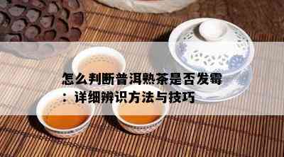 怎么判断普洱熟茶是不是发霉：详细辨识方法与技巧