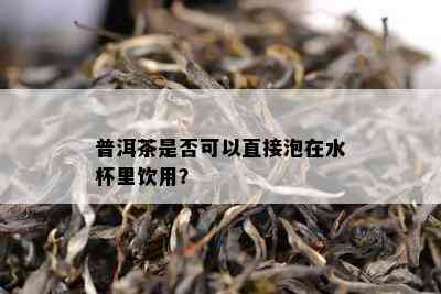 普洱茶是不是可以直接泡在水杯里饮用？