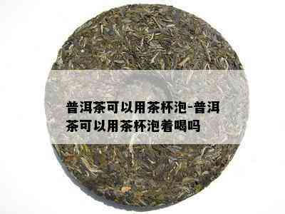 普洱茶可以用茶杯泡-普洱茶可以用茶杯泡着喝吗