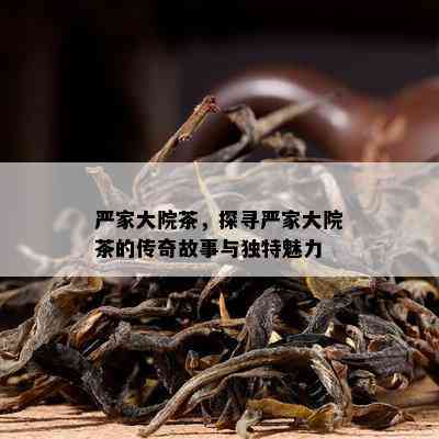 严家大院茶，探寻严家大院茶的传奇故事与独特魅力