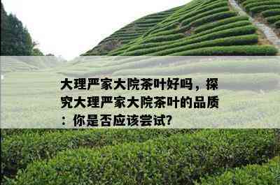 大理严家大院茶叶好吗，探究大理严家大院茶叶的品质：你是不是应尝试？