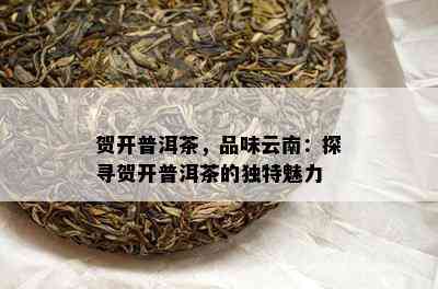 贺开普洱茶，品味云南：探寻贺开普洱茶的独特魅力