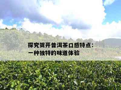 探究贺开普洱茶口感特点：一种特别的味道体验