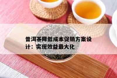 普洱茶降低成本促销方案设计：实现效益更大化