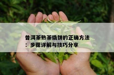 普洱茶熟茶撬饼的正确方法：步骤详解与技巧分享