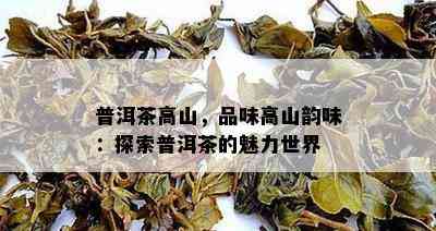 普洱茶高山，品味高山韵味：探索普洱茶的魅力世界