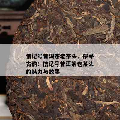 信记号普洱茶老茶头，探寻古韵：信记号普洱茶老茶头的魅力与故事