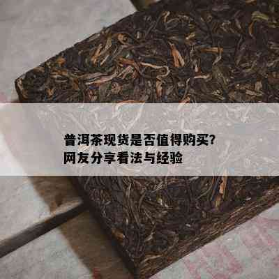 普洱茶现货是不是值得购买？网友分享看法与经验