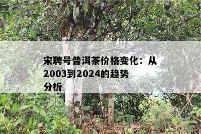 宋聘号普洱茶价格变化：从2003到2024的趋势分析