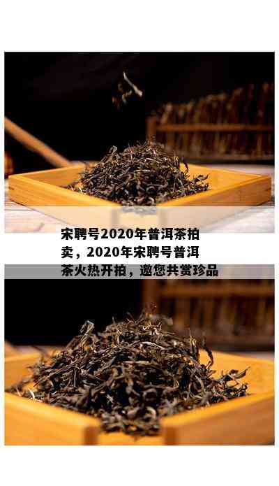 宋聘号2020年普洱茶拍卖，2020年宋聘号普洱茶火热开拍，邀您共赏珍品