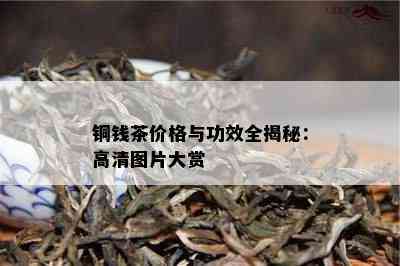 铜钱茶价格与功效全揭秘：高清图片大赏