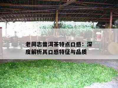 老同志普洱茶特点口感：深度解析其口感特征与品质