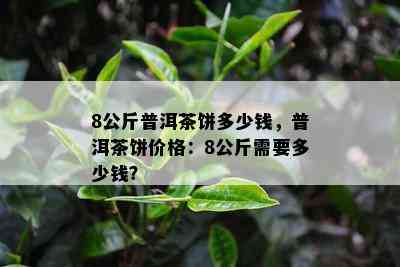 8公斤普洱茶饼多少钱，普洱茶饼价格：8公斤需要多少钱？