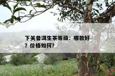 下关普洱生茶等级：哪款好？价格怎样？