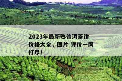 2023年最新熟普洱茶饼价格大全，图片 评价一网打尽！