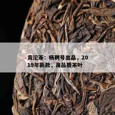 贡沱茶：杨聘号出品，2019年新款，高品质茶叶