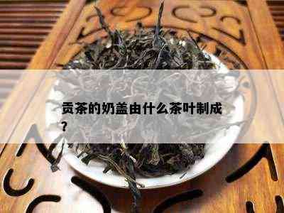 贡茶的奶盖由什么茶叶制成？