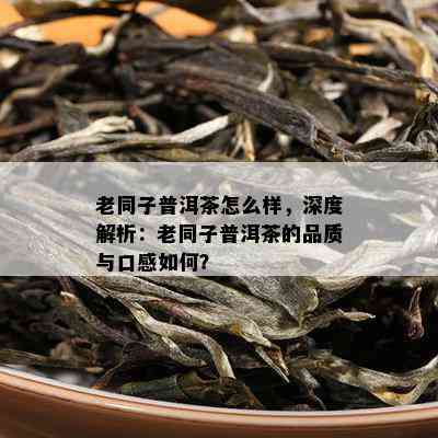 老同子普洱茶怎么样，深度解析：老同子普洱茶的品质与口感怎样？