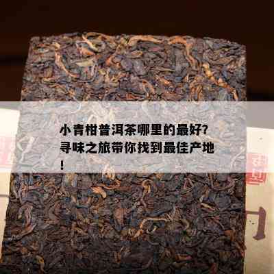 小青柑普洱茶哪里的更好？寻味之旅带你找到更佳产地！