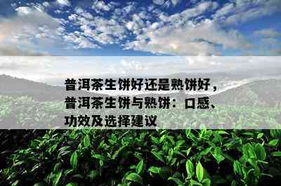 普洱茶生饼好还是熟饼好，普洱茶生饼与熟饼：口感、功效及选择建议