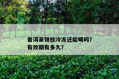 普洱茶饼放冷冻还能喝吗？有效期有多久？