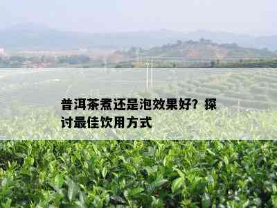 普洱茶煮还是泡效果好？探讨更佳饮用方式