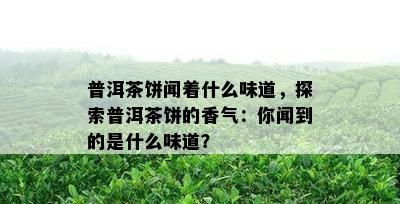 普洱茶饼闻着什么味道，探索普洱茶饼的香气：你闻到的是什么味道？