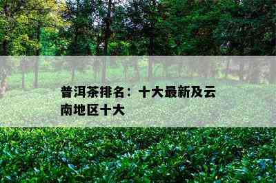 普洱茶排名：十大最新及云南地区十大