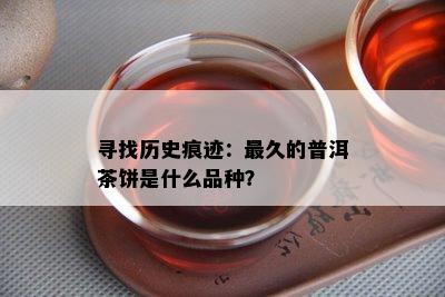 寻找历史痕迹：最久的普洱茶饼是什么品种？