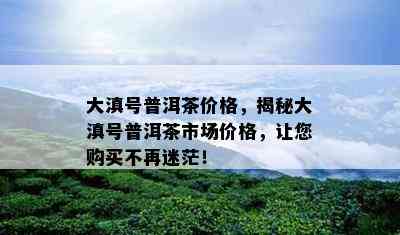 大滇号普洱茶价格，揭秘大滇号普洱茶市场价格，让您购买不再迷茫！