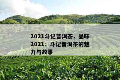 2021斗记普洱茶，品味2021：斗记普洱茶的魅力与故事