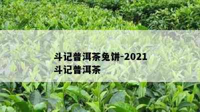 斗记普洱茶兔饼-2021斗记普洱茶