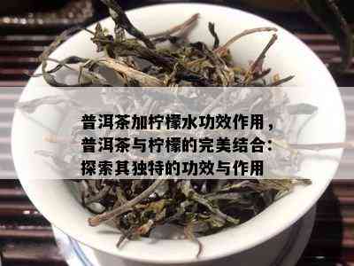 普洱茶加柠檬水功效作用，普洱茶与柠檬的完美结合：探索其特别的功效与作用