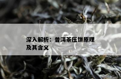 深入解析：普洱茶压饼原理及其含义