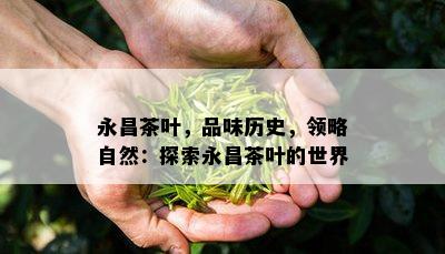 永昌茶叶，品味历史，领略自然：探索永昌茶叶的世界