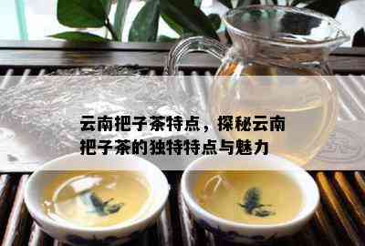 云南把子茶特点，探秘云南把子茶的独特特点与魅力